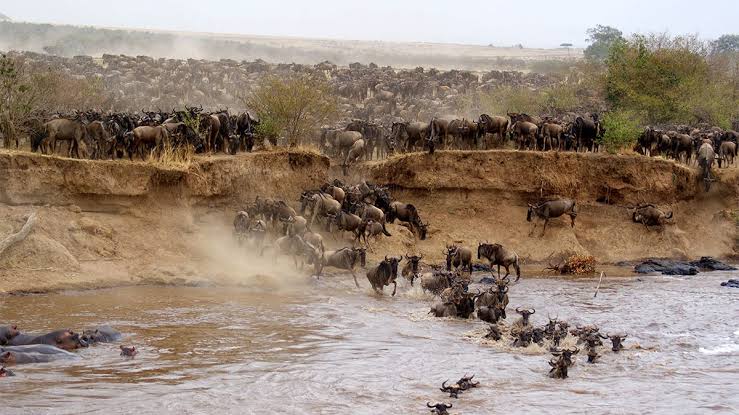 3 Days Masai Mara Budget